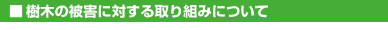 樹木の被害に対する取り組みについて